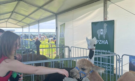 ZIELONE AGRO SHOW w Ułężu k/Lublina